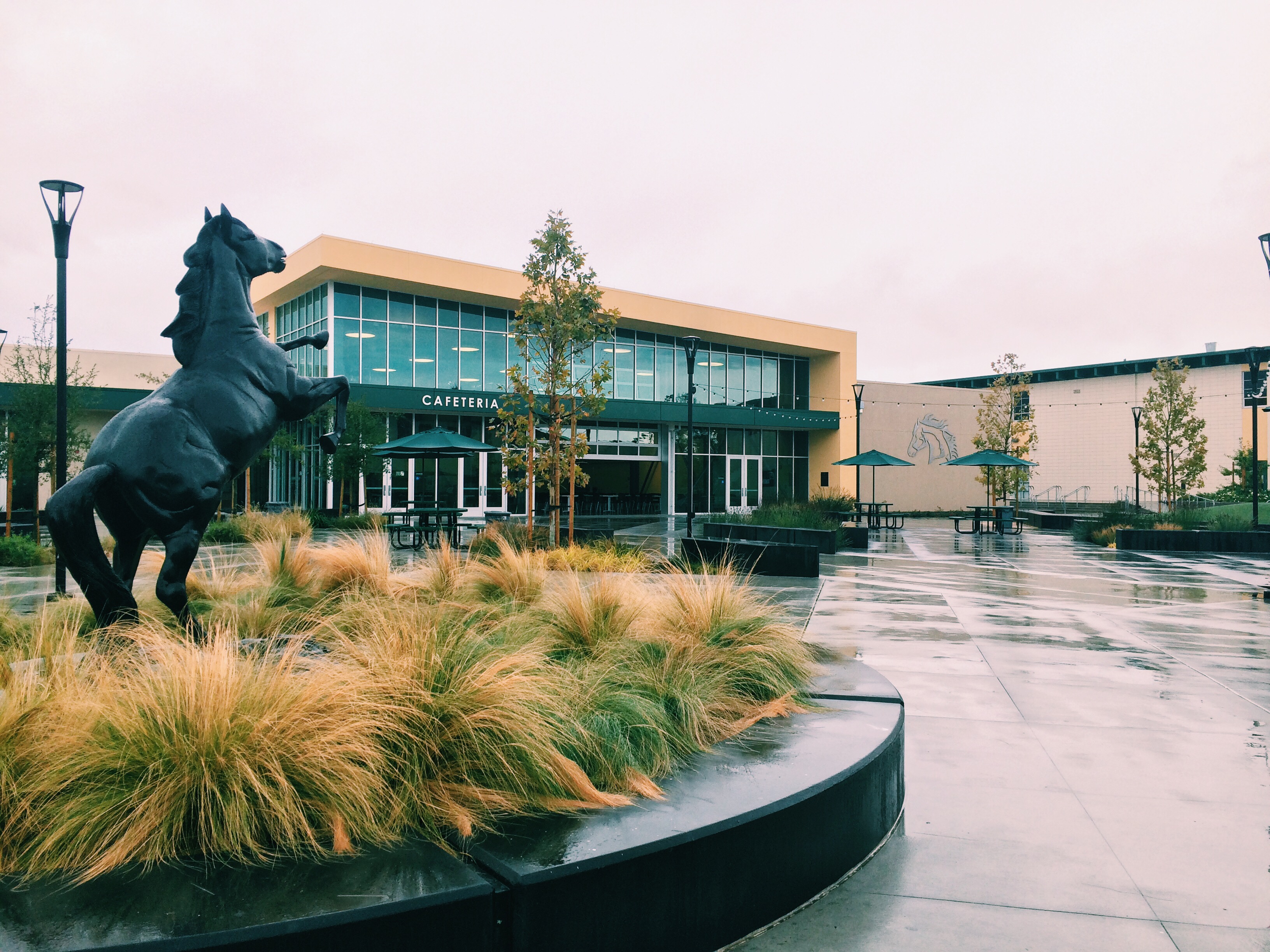 Homestead High School · Cupertino, CA